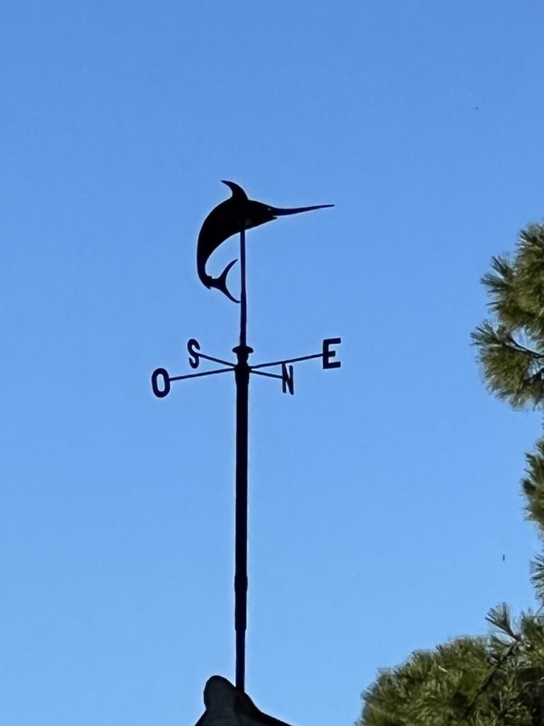 ein Foto von einer Wetterfahne symbolisiert den Prozess der Zielfindung. So wie sich die Wetterfahne dem Wind anpasst, müssen auch Ziele immer wieder den verändernden Gegebenheiten angepasst werden